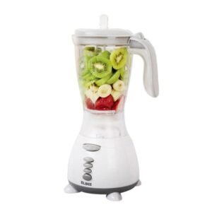 Elbee 2-in-1 Blender with Unbreakable Jar – UB6
